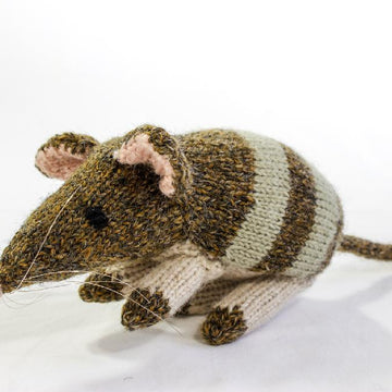 Australian Bandicoot