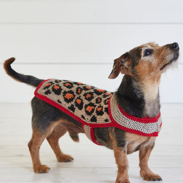 Leopard Pooch - Dog Coat Knitting Pattern For Pets in Debbie Bliss Rialto Aran by Debbie Bliss