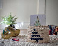 Recycled (t-shirt) yarn basket container-114