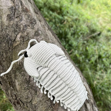 Trilobite