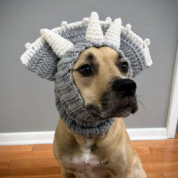 Triceratops Dog Snood