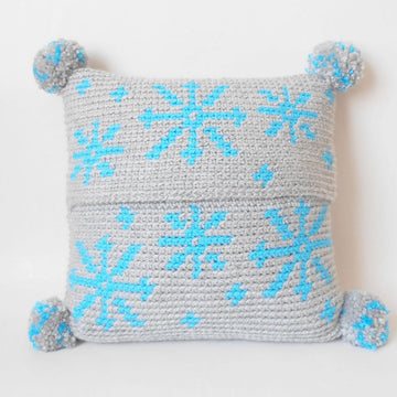 Winter Thrills Pillow Cover