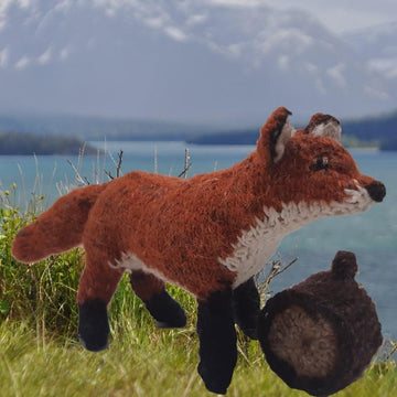 Red fox