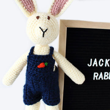 Jackson Rabbit