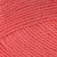 Watermelon (252)
