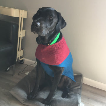 Large Breed Color Blocked Dog Sweater