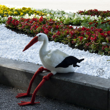 Big stork