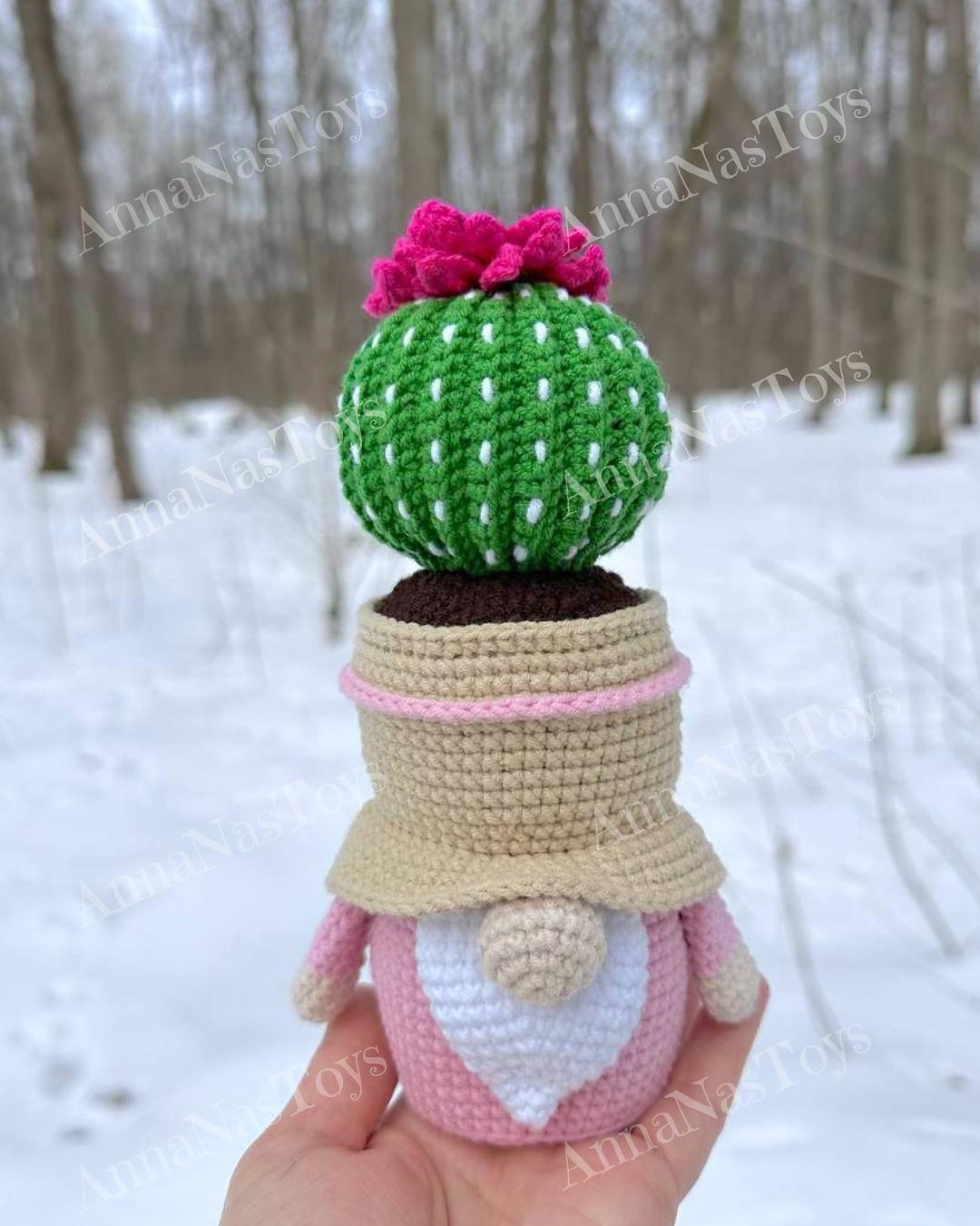 Gnome-cactus in a pot 5