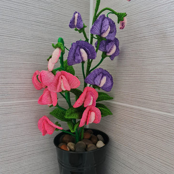 Crochet Sweet Peas Flowers