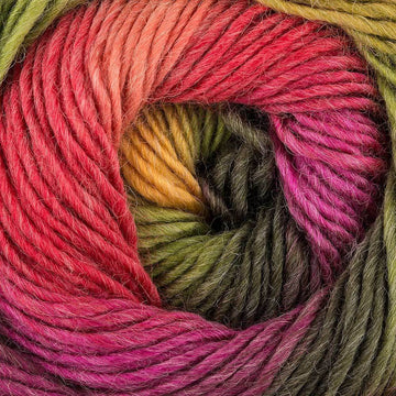 King Cole Riot DK