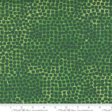 Moda Fabrics Starflower Christmas - 8485-20