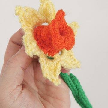 Delightful Daffodil