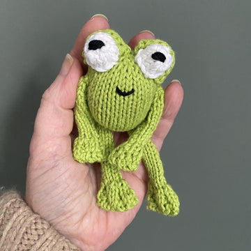 Frog pocket buddy