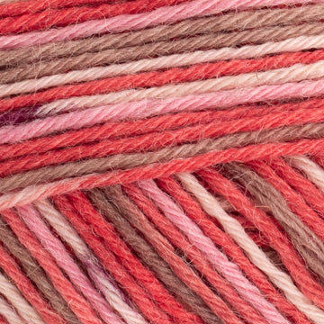 Rosa (C012)