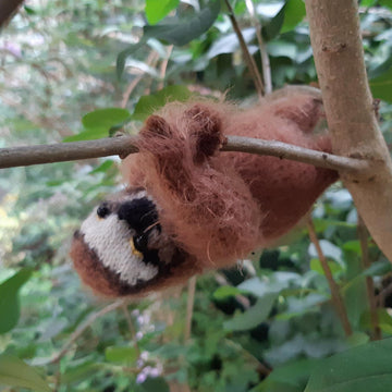 Sloth