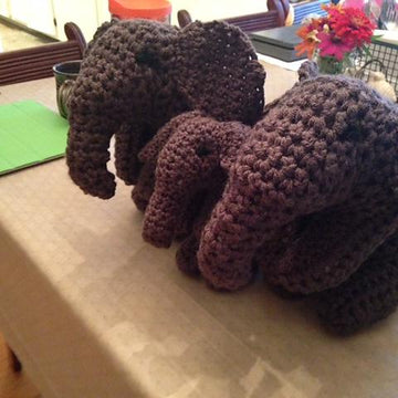 Elephant Family