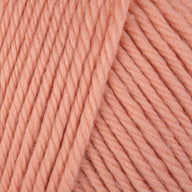 Salmon (004)