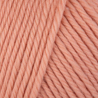 Salmon (004)