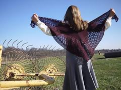 Crooked Walking Shawl