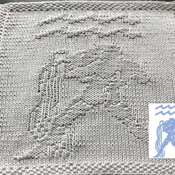 Nr. 545 Zodiac Aquarius 65 stitches