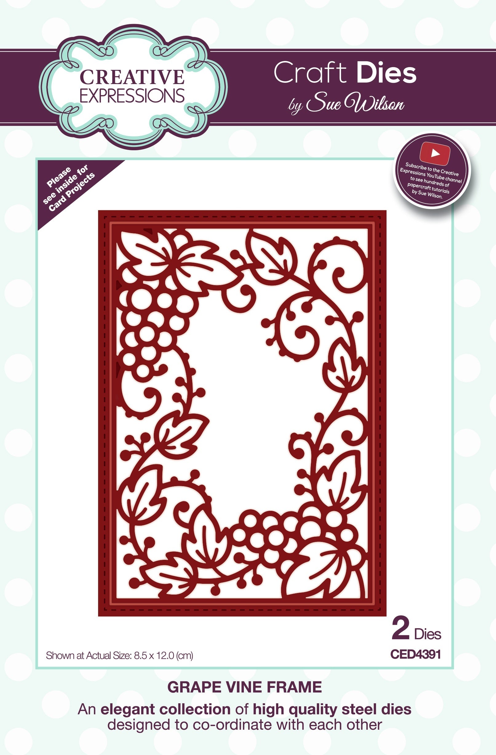 Creative Expressions Craft Dies By Sue Wilson - Frames & Tags-Grape Vine Frame