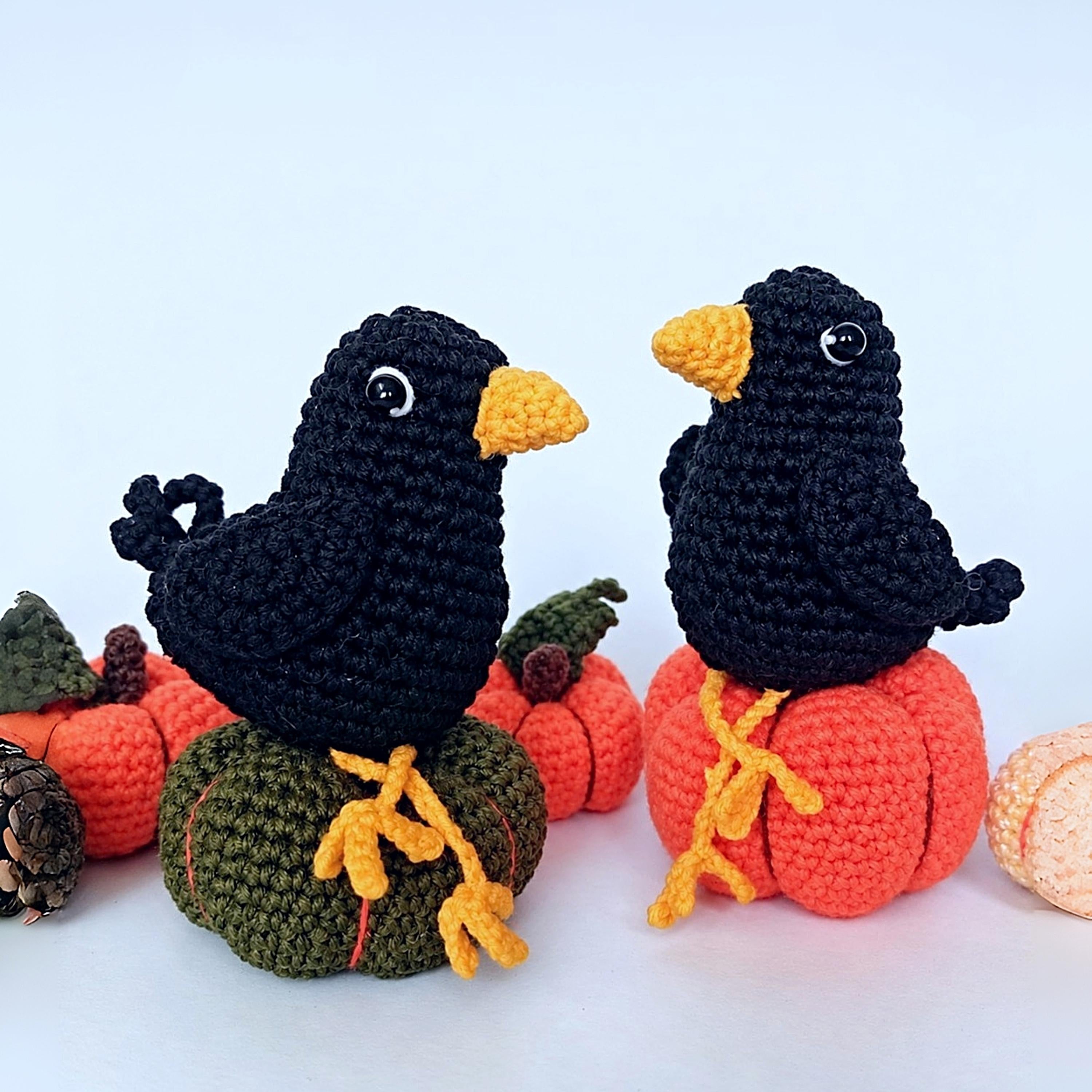 Crow and pumpkins