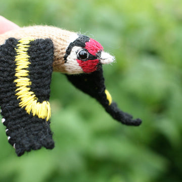 Charming Goldfinch