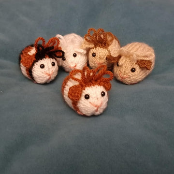 Guinea Pig Creme Egg Cosy