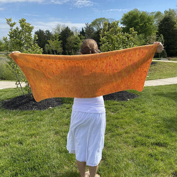 Honeybee Shawl Tunisian