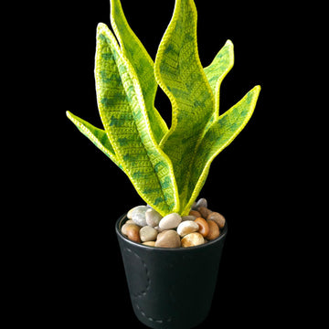 Crochet Snake plant pattern