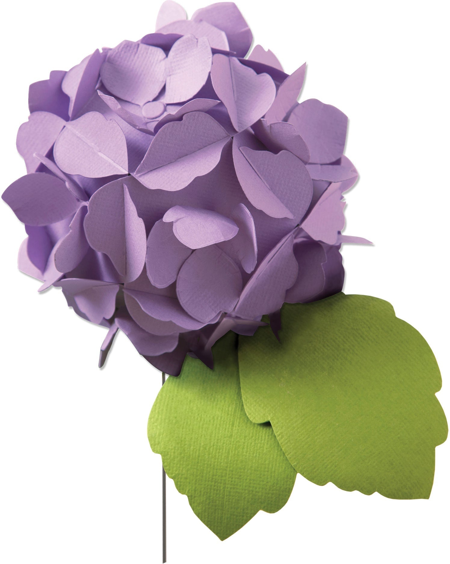 Sizzix Bigz Die - Hydrangea