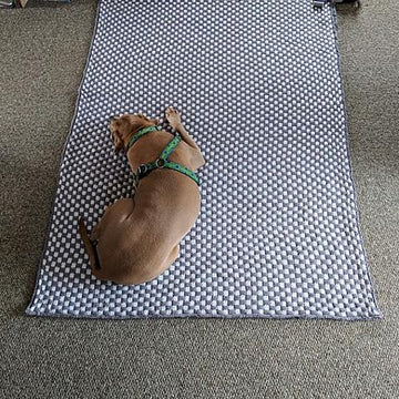Corinna Checker Blanket