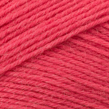 Regia 4 Ply 50g
