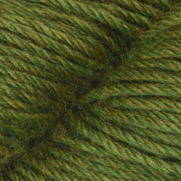 Fern (11)