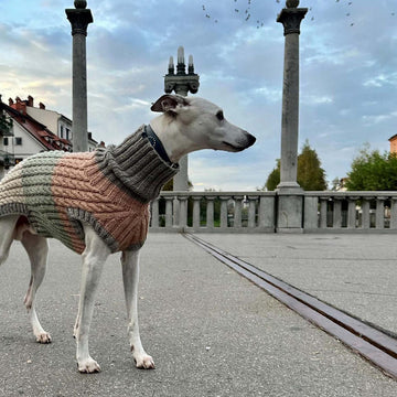 Dog Sweater ASHA CABLE