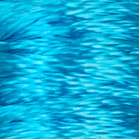 Perfect Blue (788)