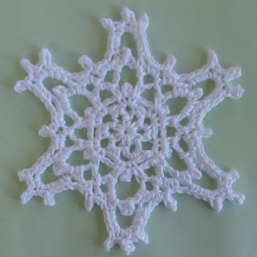 2020 Snowflake
