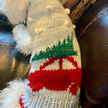 Christmas Time Dog Sweater