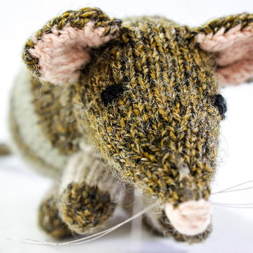 Australian Bandicoot