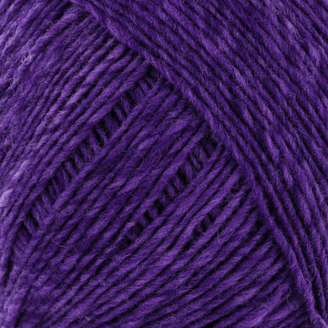 Boysenberry (5)