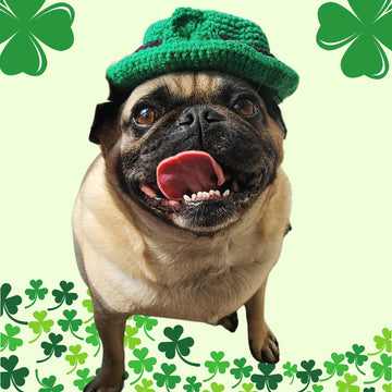 St. Patrick's Day Dog Hat