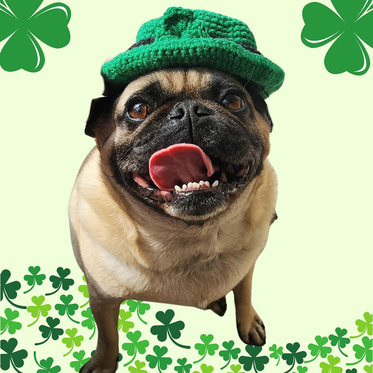 St. Patrick's Day Dog Hat
