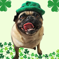 St. Patrick's Day Dog Hat