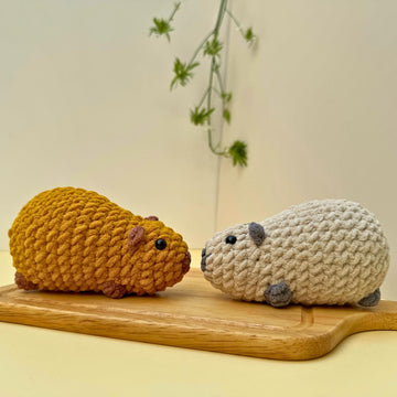 Chubby Capybara
