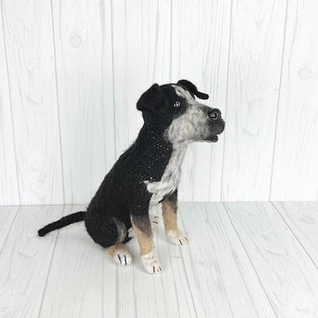 Pit Bull mix