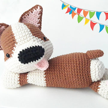 Indie Corgi
