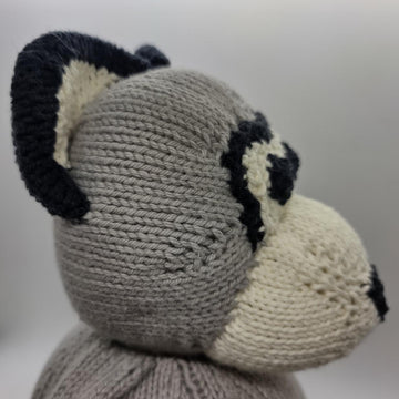 Rocky Raccoon