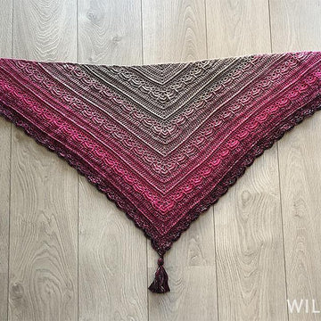 Ana Lucia Shawl
