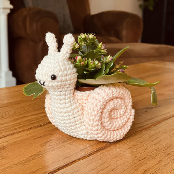 Snail Plant Holder