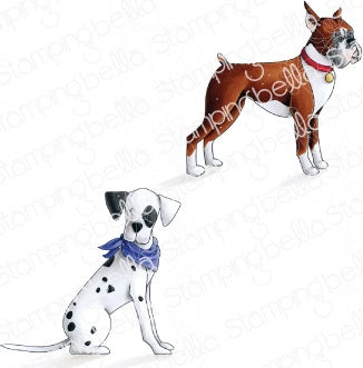 Stamping Bella Cling Stamps - Boxer & Dalmatian